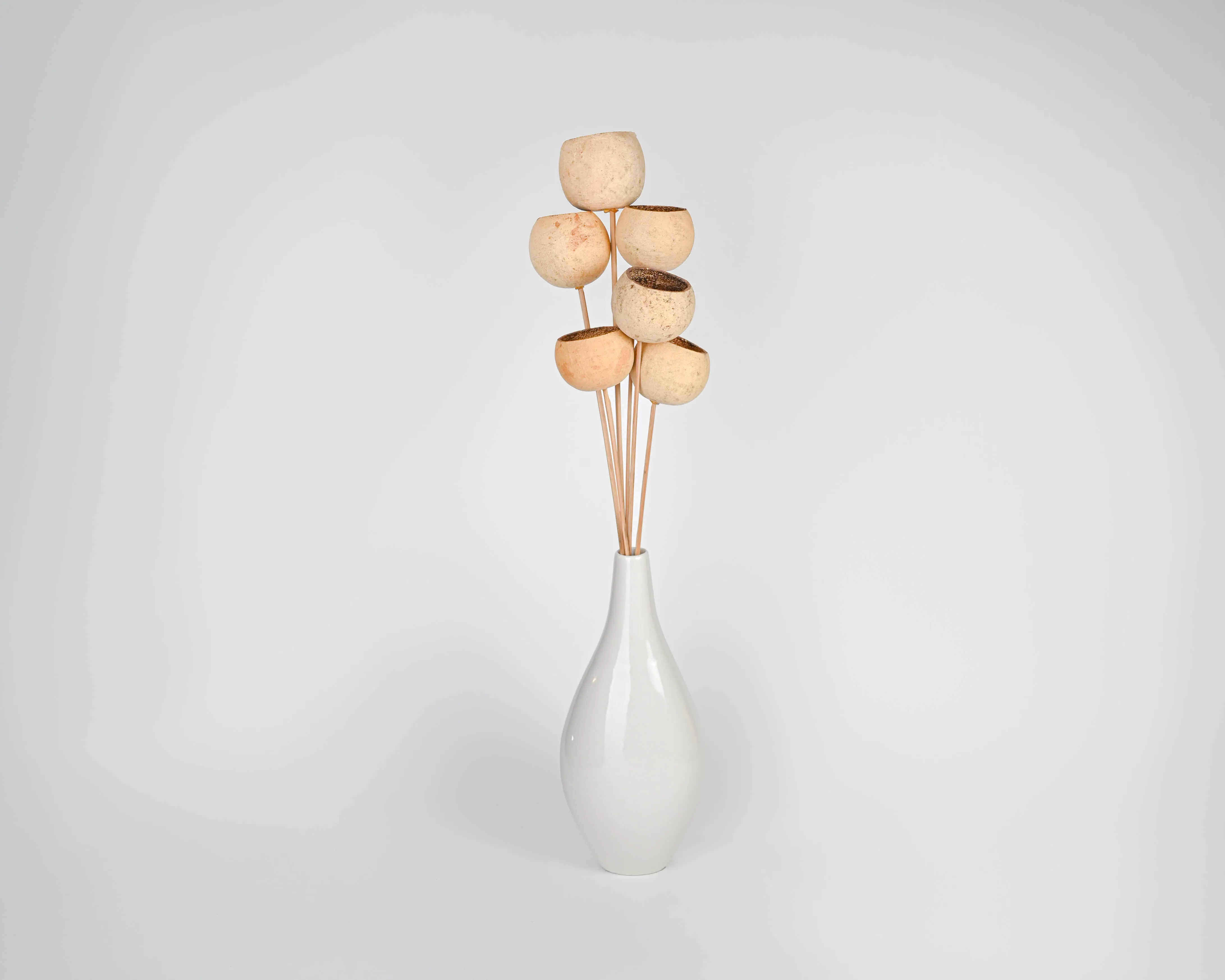 Bell Cups - Natural