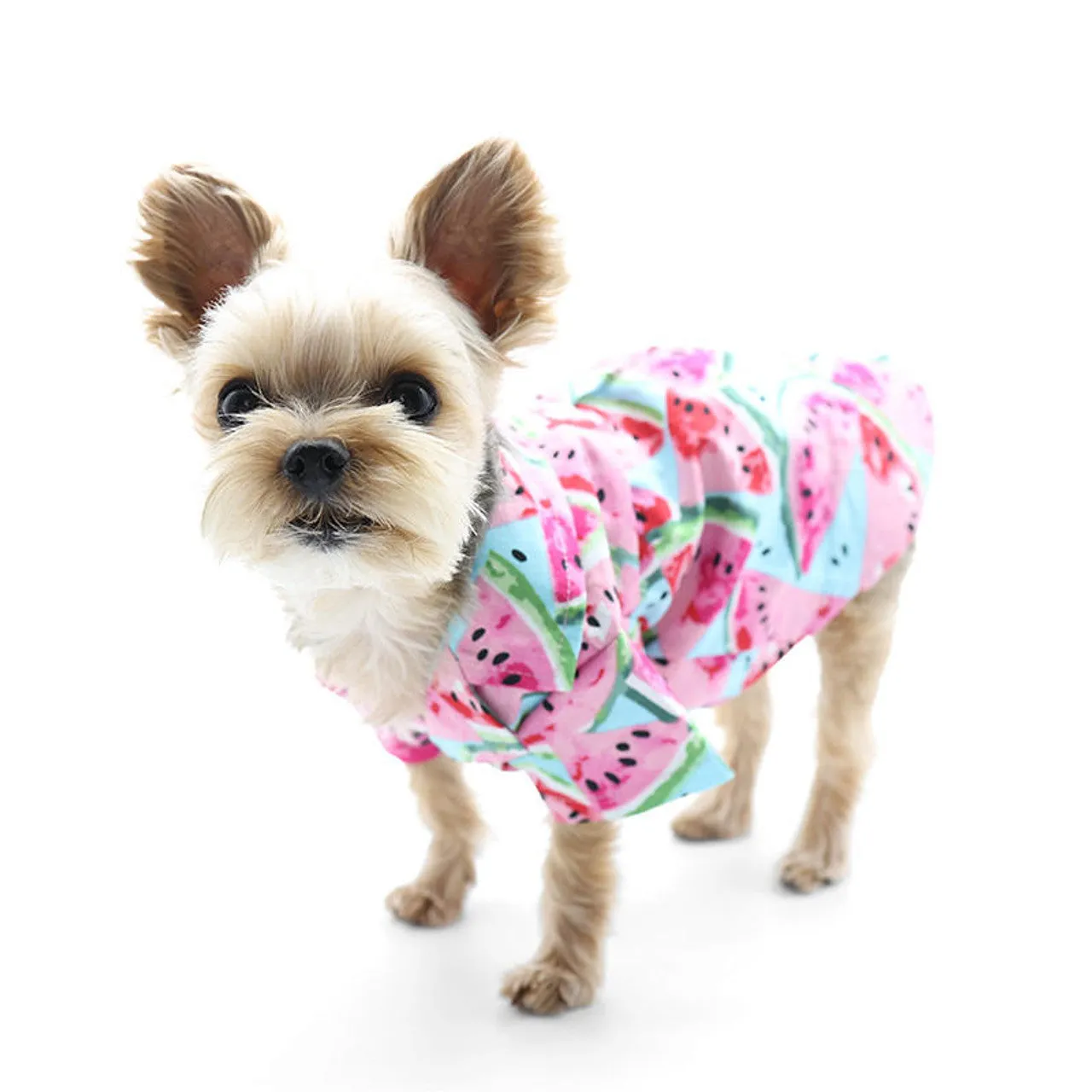 Dogo Pet Watermelon Dog Shirt