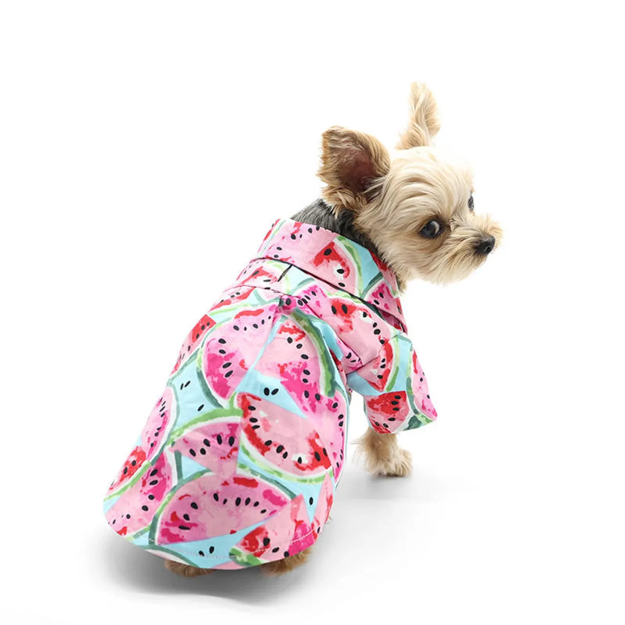 Dogo Pet Watermelon Dog Shirt
