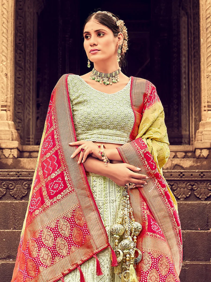 Light Green Georgette Lehenga Choli Having Lucknowi work and Banarasi Dupatta
